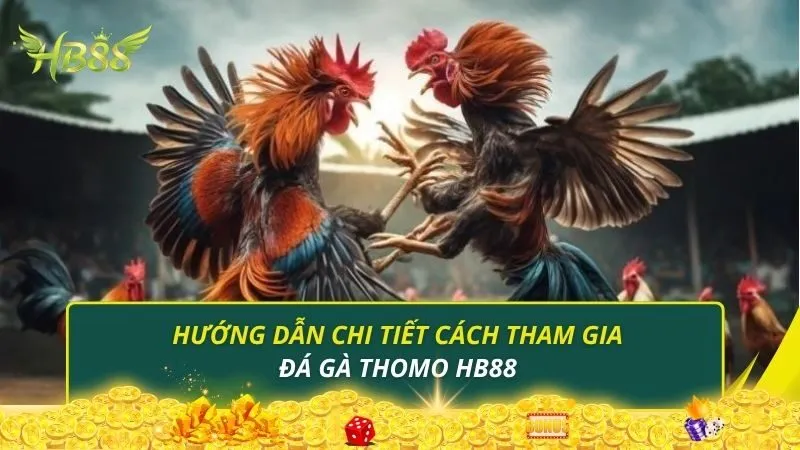 Hướng dẫn chi tiết cách tham gia đá gà Thomo HB88