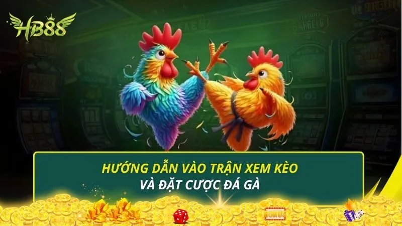 Hướng dẫn vào trận xem kèo và đặt cược đá gà