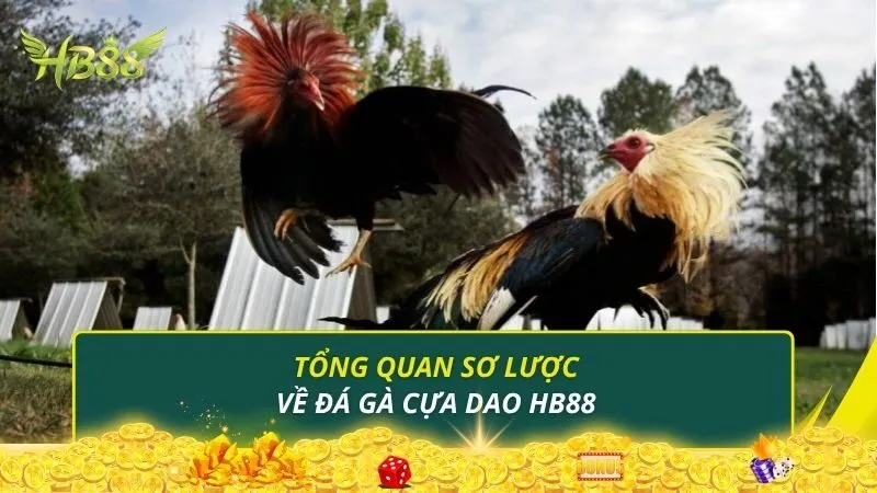 Tổng quan sơ lược về đá gà cựa dao HB88